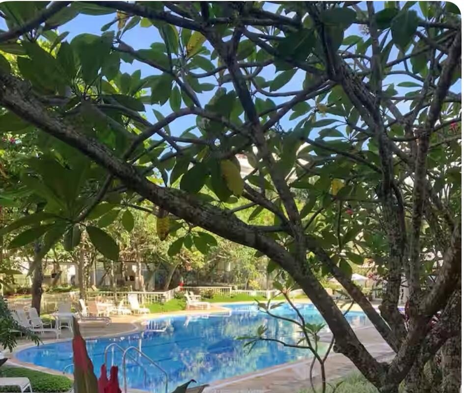 Apartamento Lindo no Paradiso! gallery image 4