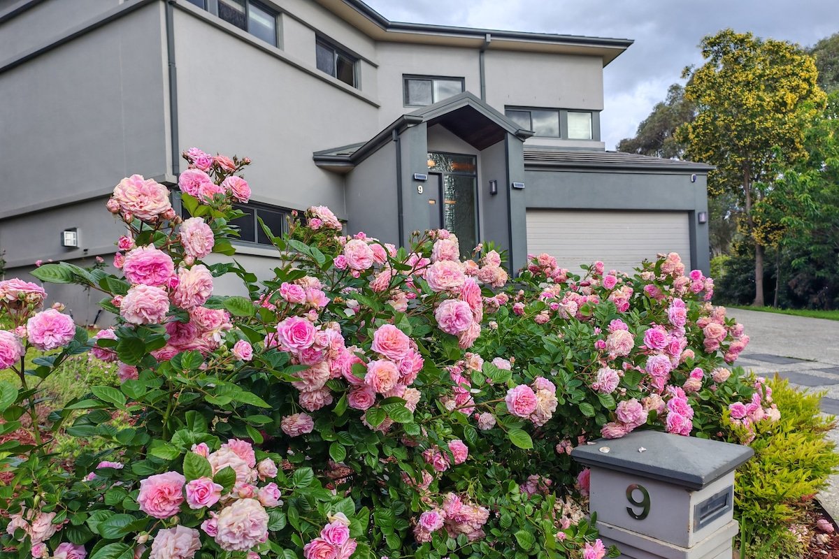 Yarra Valley Serenity House in Golf Country Club gallery image 4