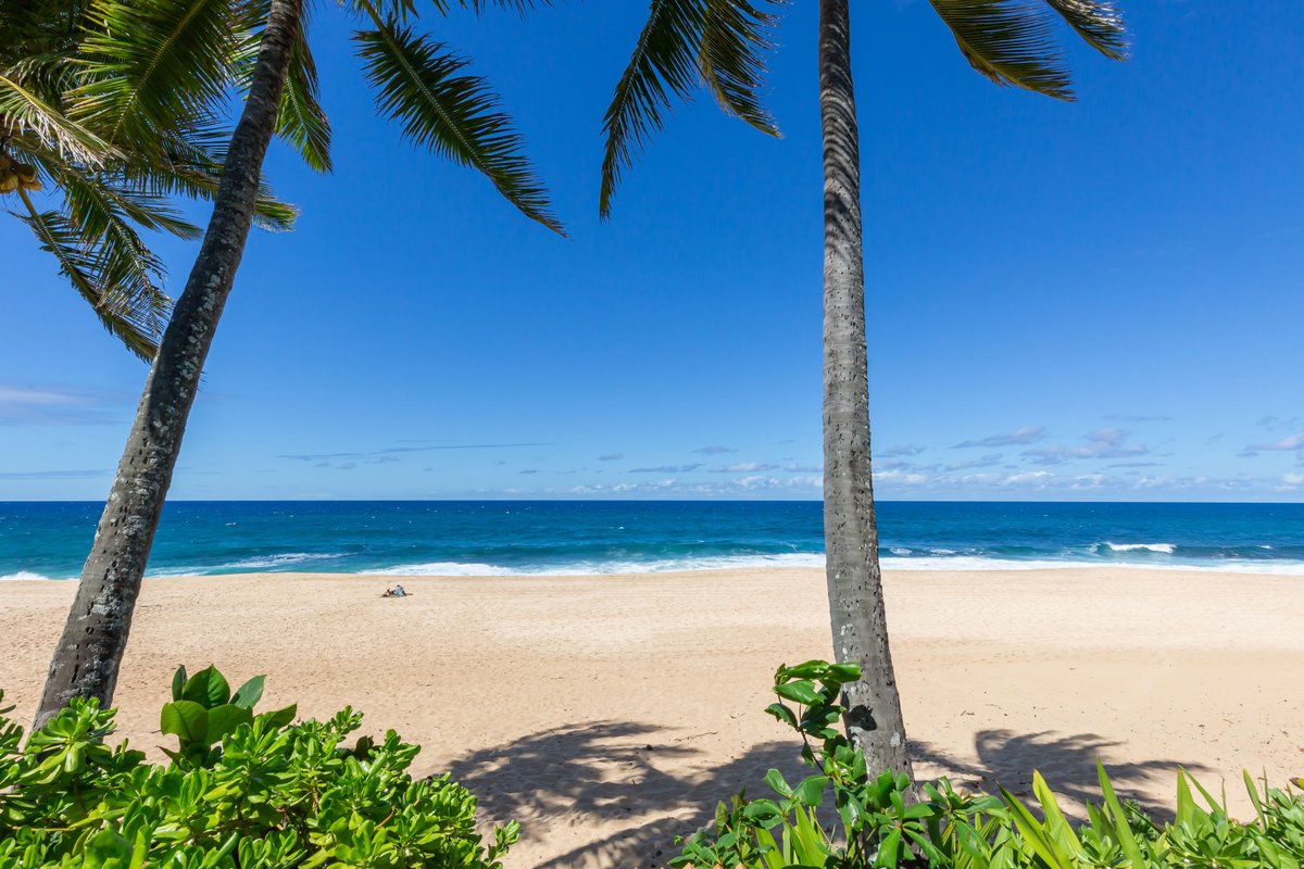 Absolute Beach front home @ Log Cabins Surf break