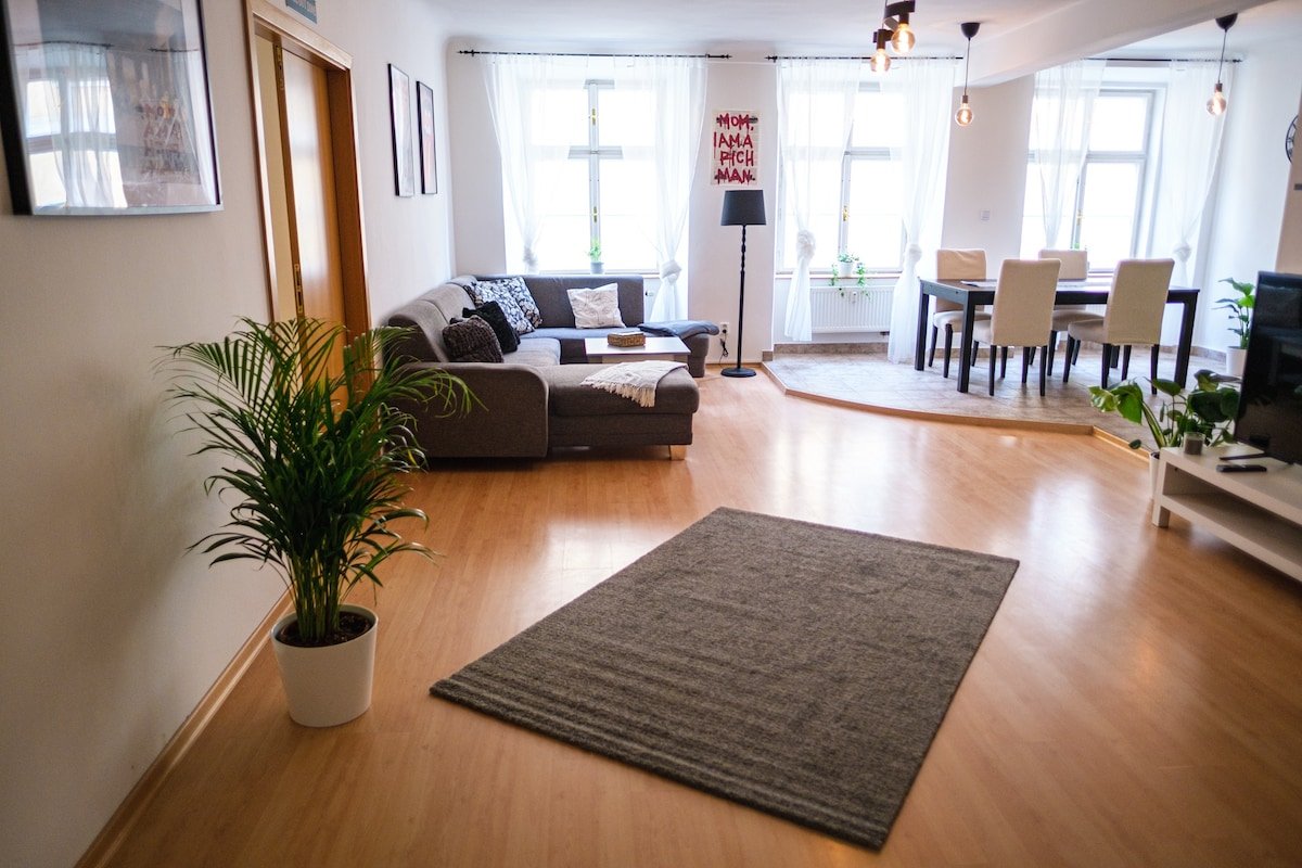 Spacious 8-Person Apartment in the Heart of Prague gallery image 4