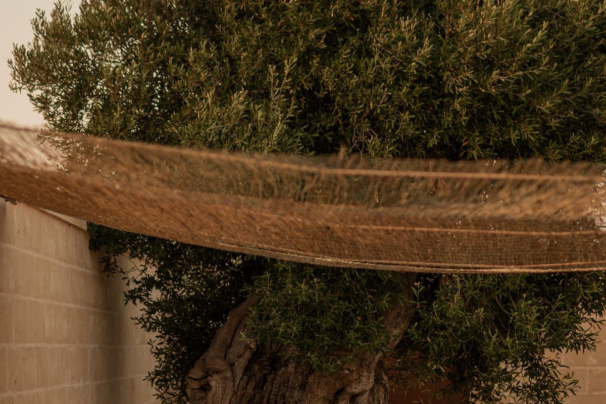 Villa Therasia – Private escape gallery image 3