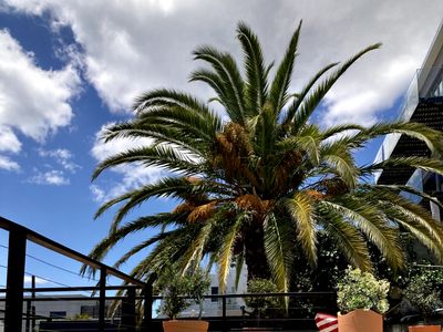 7-Bed, 7-Bath Villa with Ocean Views and pool