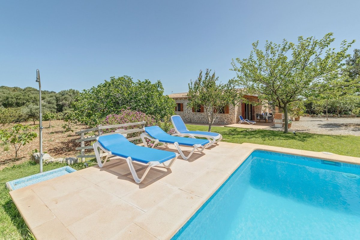 Mamici gallery image 3