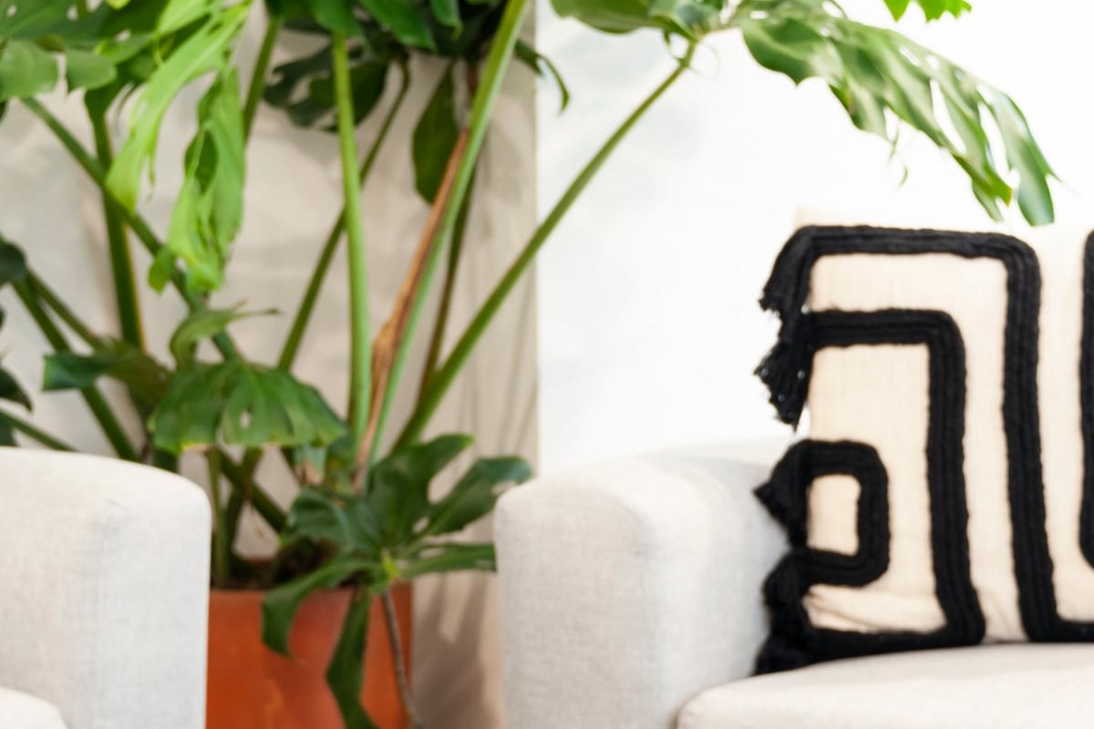 Large 3BR Apartment with exceptional street views gallery image 3