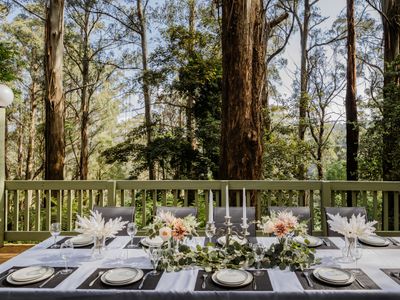 Seednest Treehouse | Forest & Mountain View