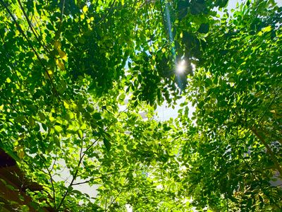 【2棟プライベート貸切！】庭付き 建物総面積約130㎡ 最大8名！駅近 畳 床暖房、Wi-Fi完備