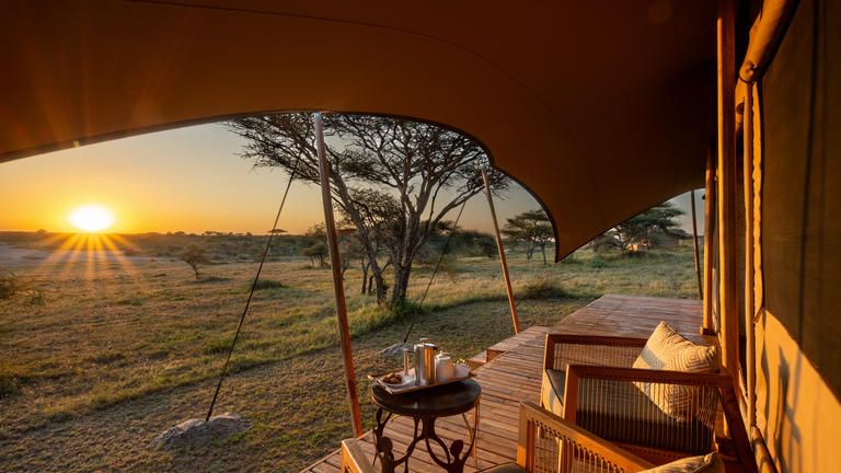 Serengeti Plains Camp Standard Guest tent
