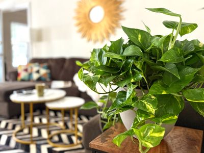 Family Holiday Home 1200 sqft () Walk to Rodeo Dr