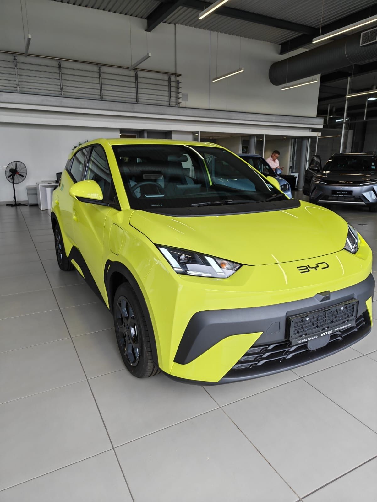 BYD DOLPHIN SURF DYNAMIC for Sale in South Africa