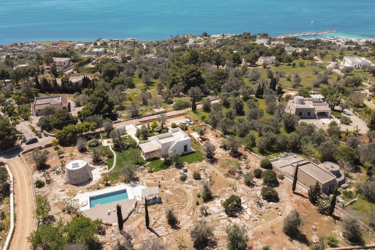 Villa Platino gallery image 3