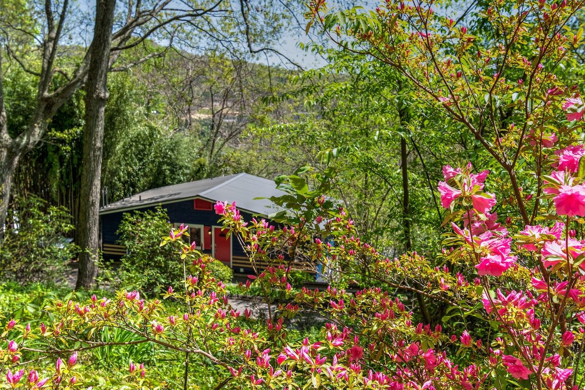 Two Separate DT Asheville MNT Chalets-Zurich 9A&9B gallery image 3