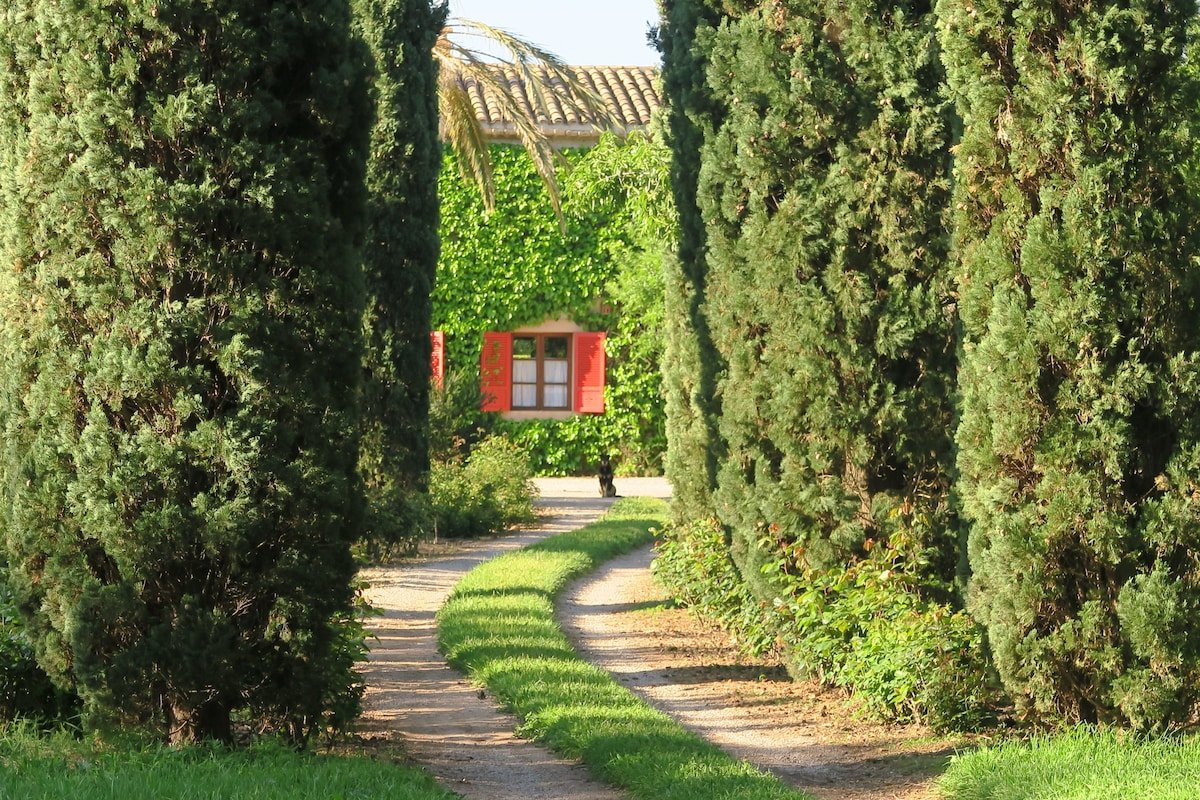 La Maritja Pollensa with beautiful garden and pool gallery image 3