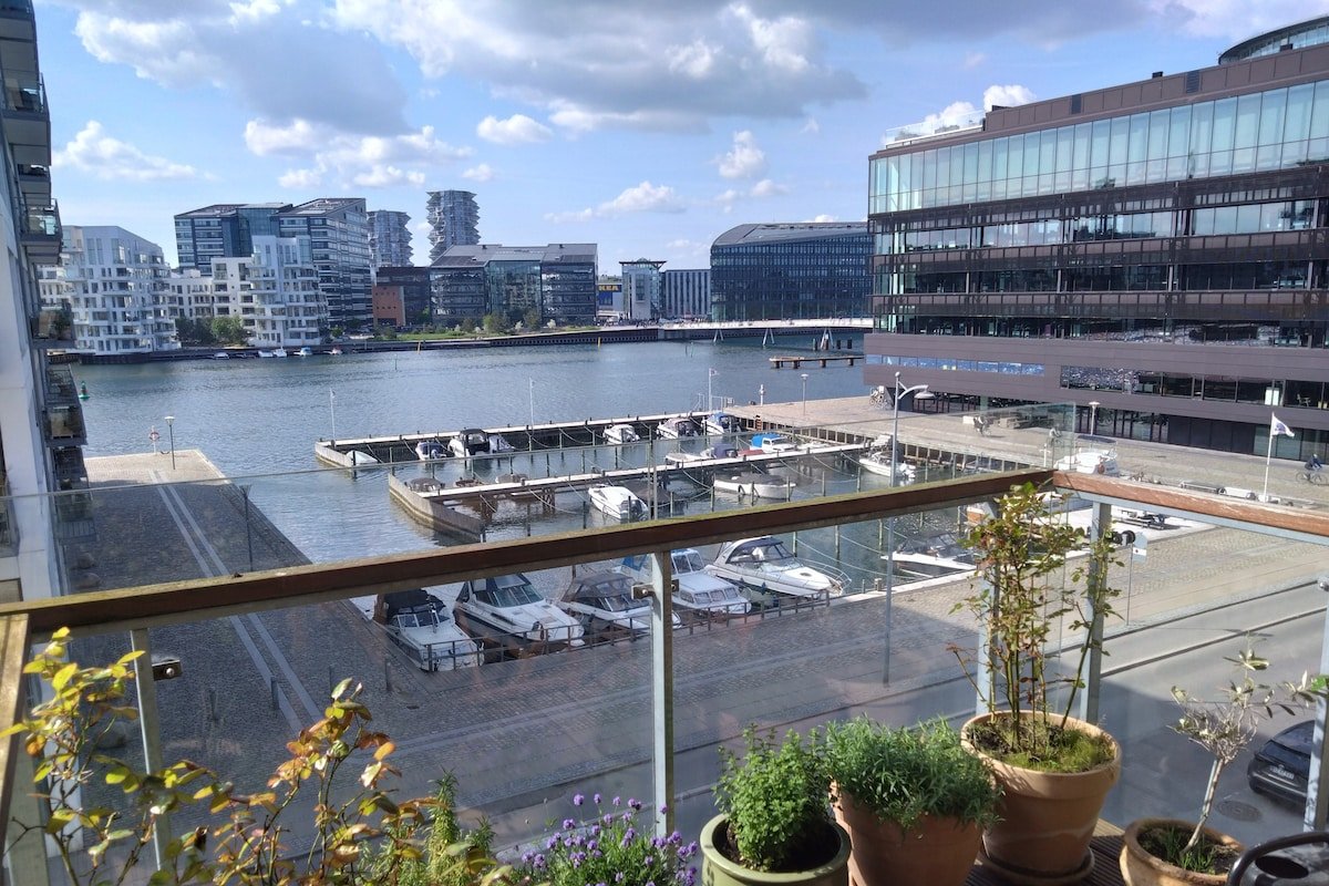 Harbour View, 168m2 luxurious city appartment gallery image 2