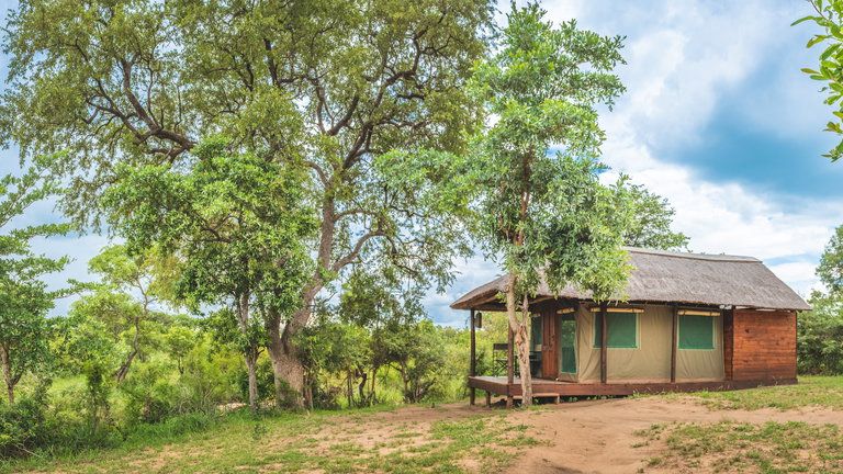 Safari Tent - Safari Tent