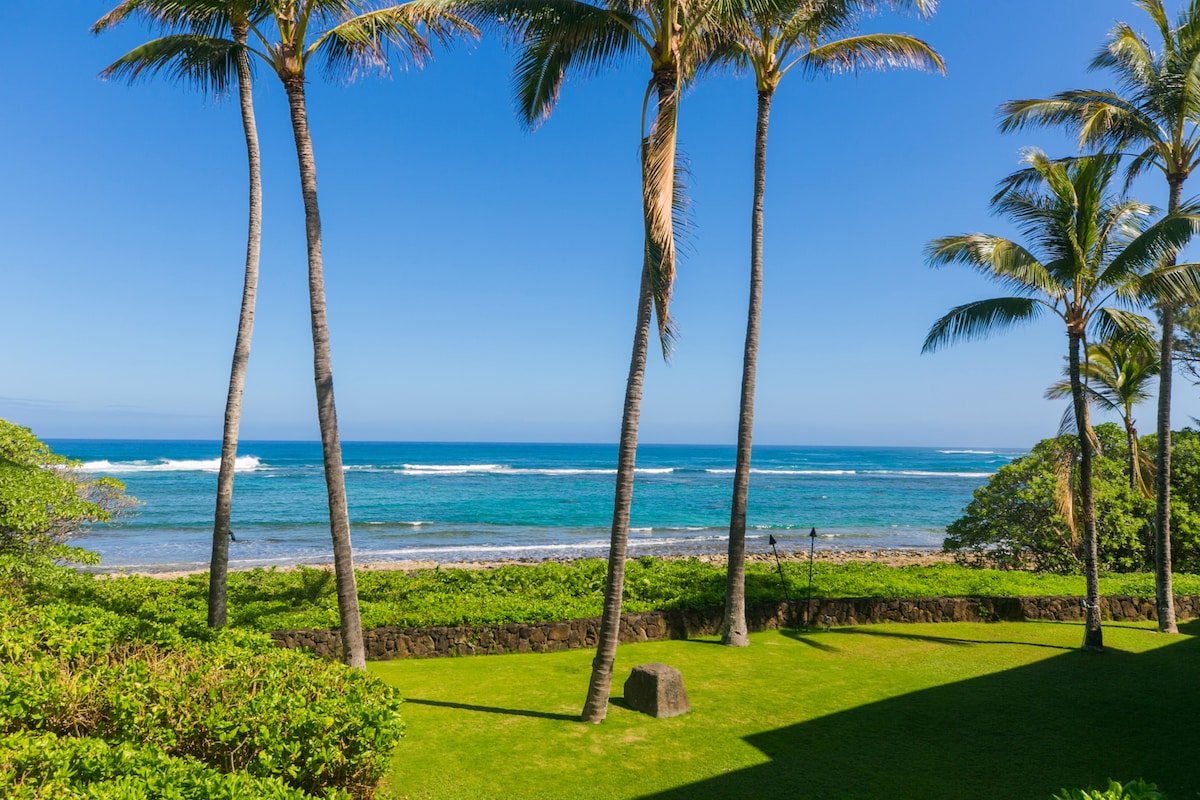 Serene Oceanview Villa at Turtle Bay – Unit 213 gallery image 4