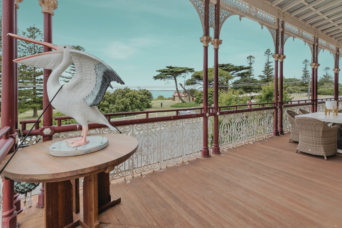 Pelicans at the Ozone gallery image 5