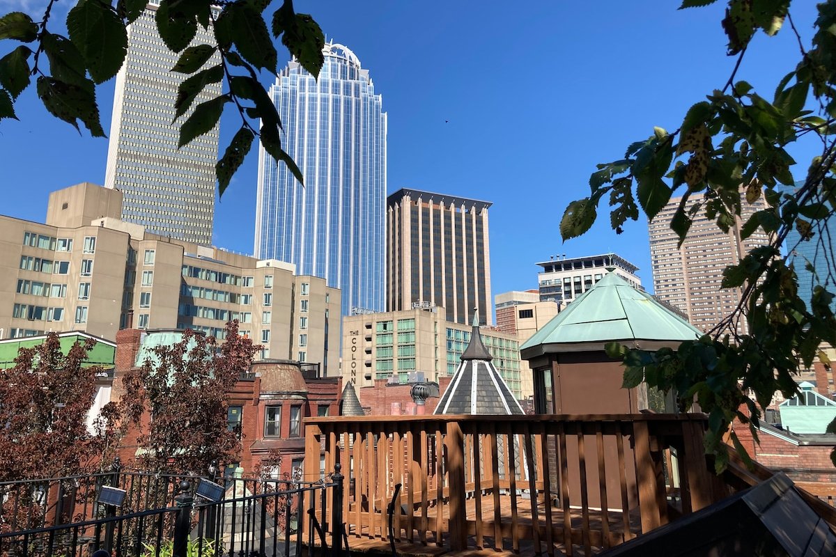 Contemporary home in Historic Back Bay Boston gallery image 2