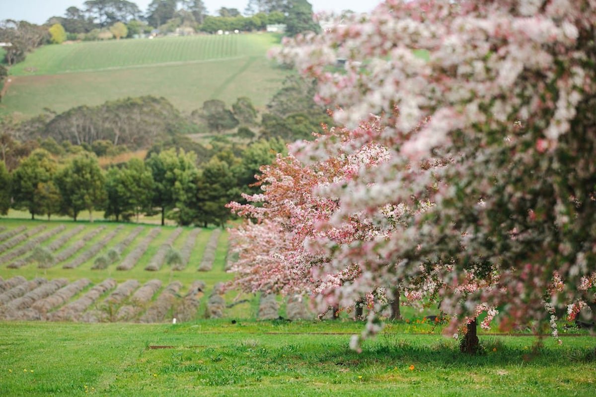 The Lakehouse gallery image 4