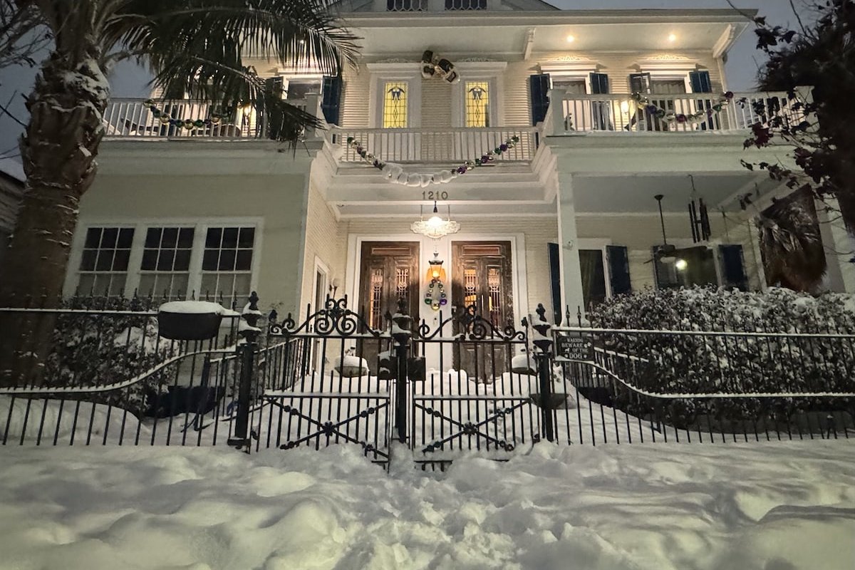 Dragonfly Treme-Heart of New Orleans-Winter Sale gallery image 2