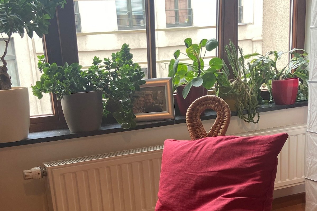 Appartement familial au coeur de Bruxelles gallery image 4