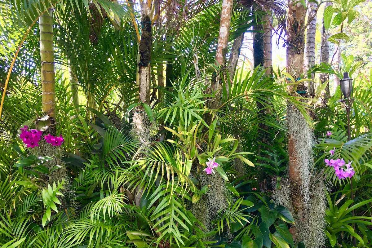 Amazing mountain & distant ocean views w/ private gallery image 5