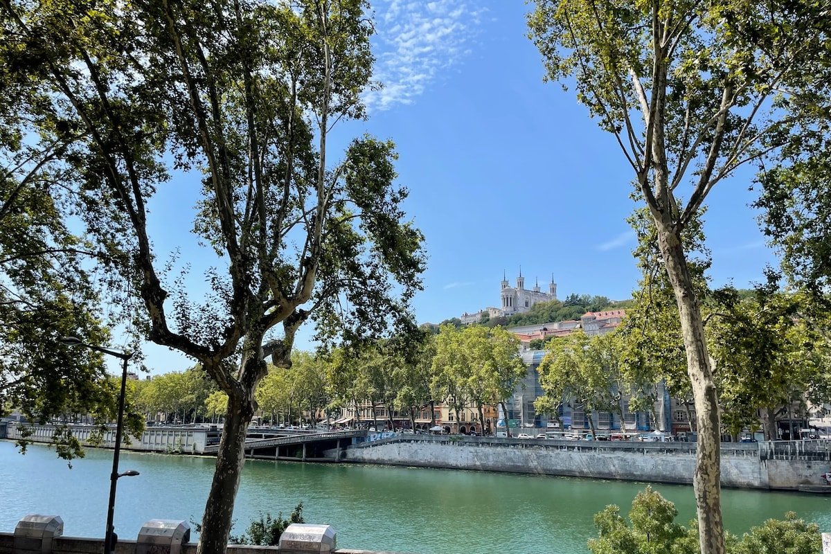Appartement familial Quais de Saône, plein centre gallery image 4