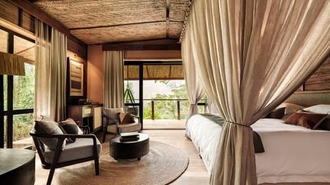 Gorilla Forest Lodge, an A&K Sanctuary photo