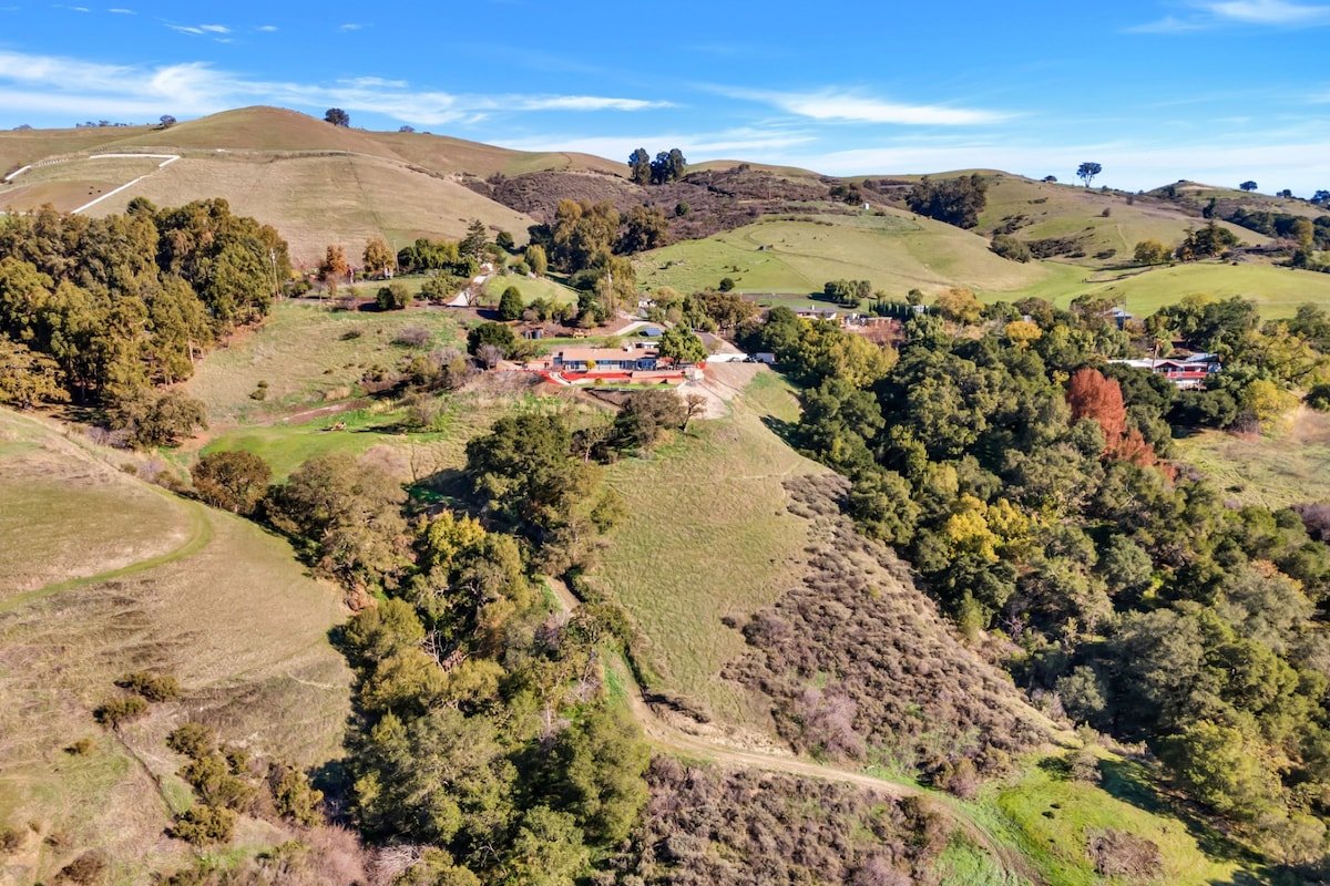 Country Gem San Jose gallery image 3