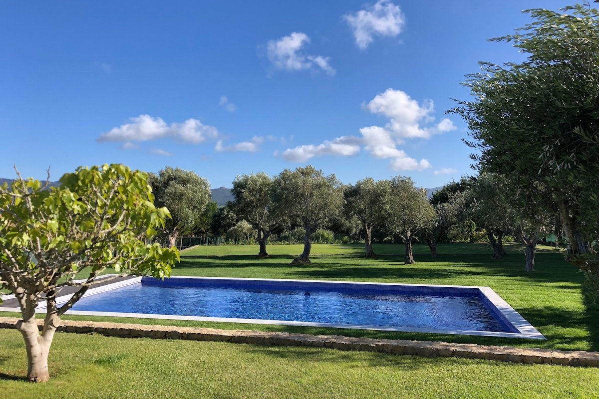 Quinta das Oliveiras gallery image 5