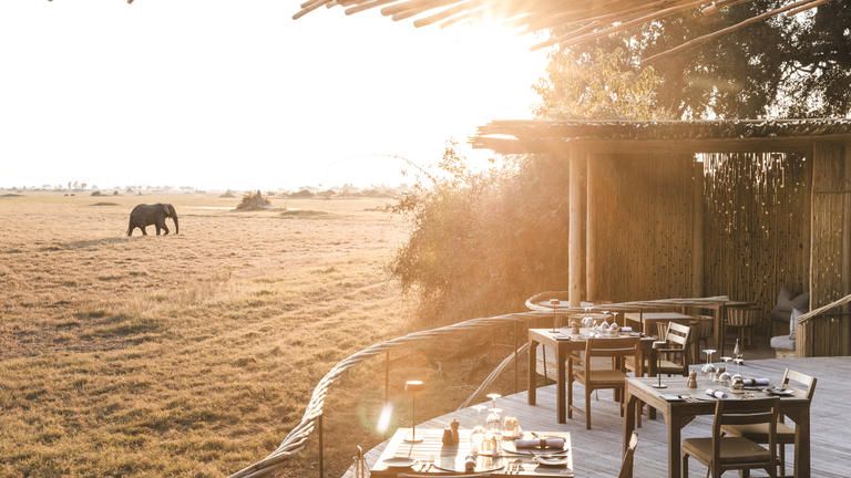 Wilderness Mombo - Dinners are al fresco, taking advantage of the sweeping views.