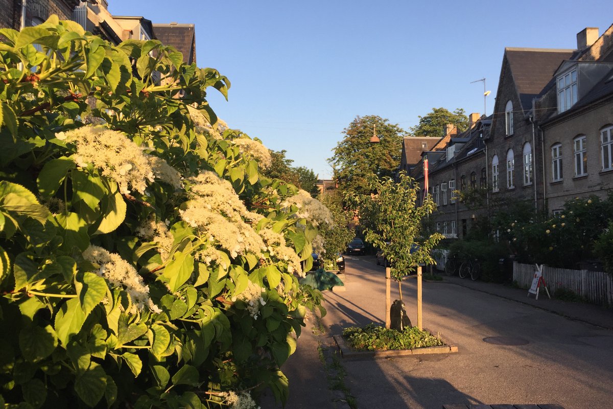 Town house in best area, 200sqm, private garden