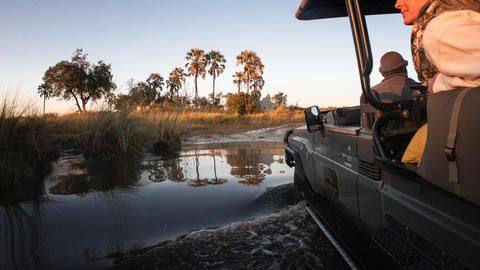 Wilderness Qorokwe - Enjoy balmy daytime game drives in an exceptional variety of habitats.