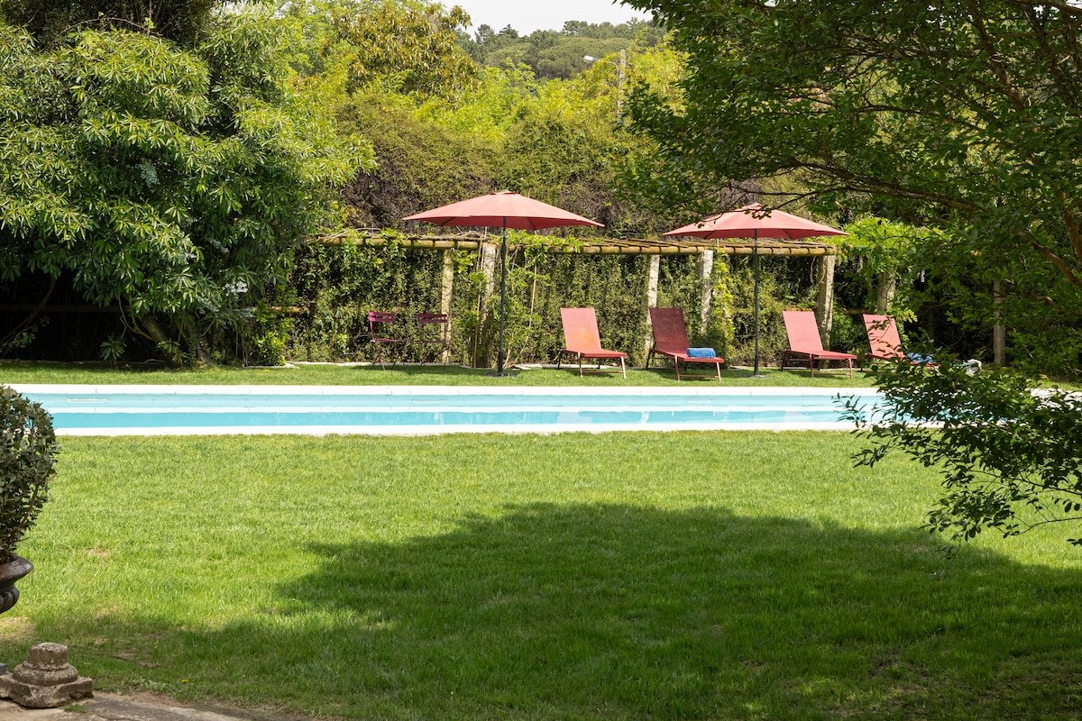 Casa da Ribeira gallery image 2