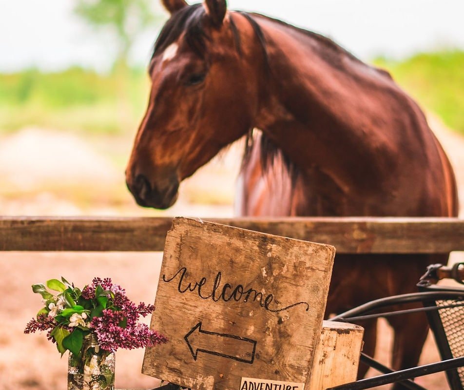 Traditional Farmhouse Experience gallery image 4