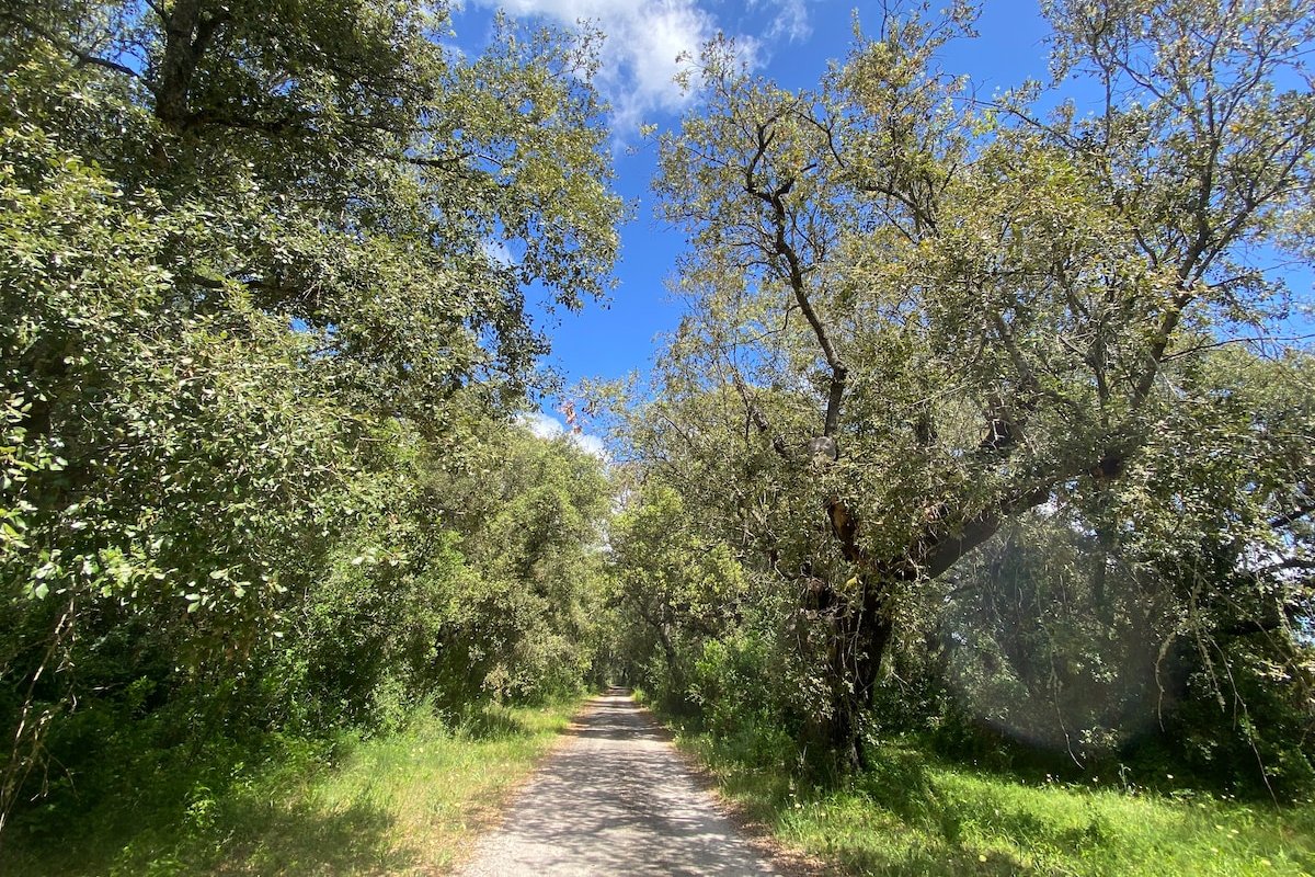 Unique luxury Villa ,100m2 pool close to the sea gallery image 3