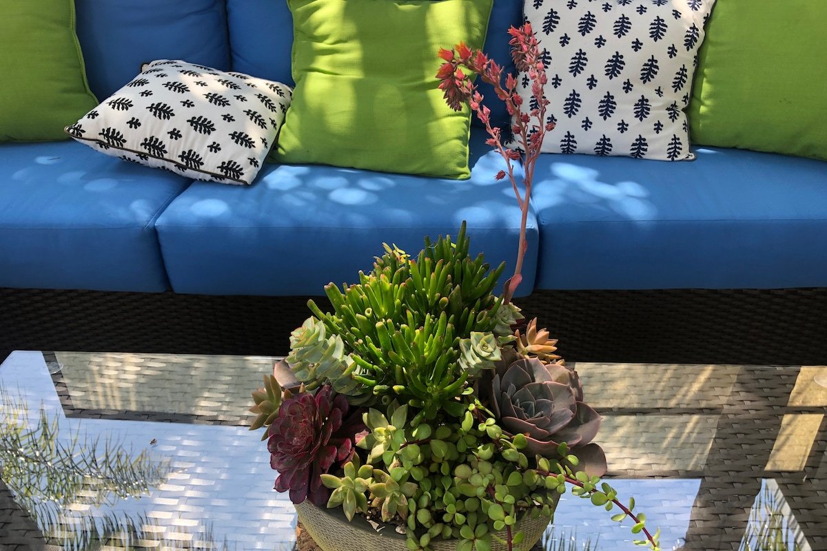 Amenity-Rich Abbot Kinney Venice Oasis! gallery image 5