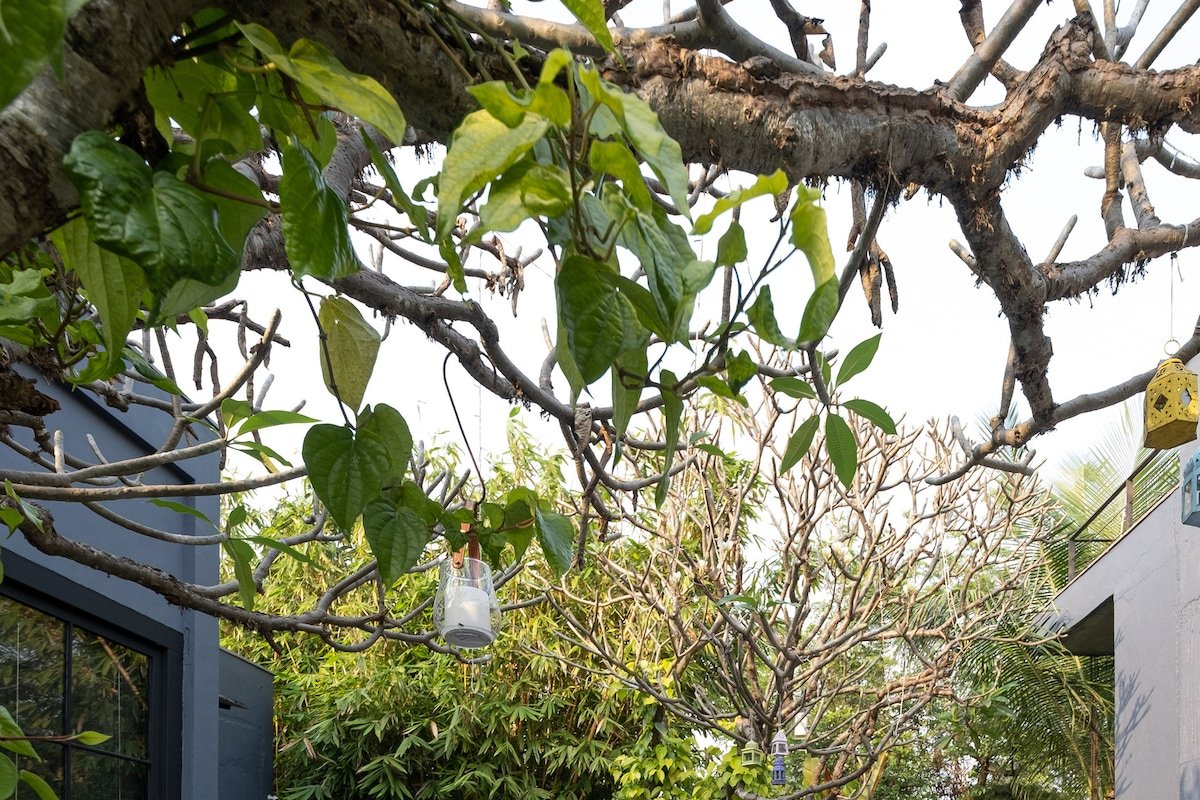 Greystone Manor gallery image 3