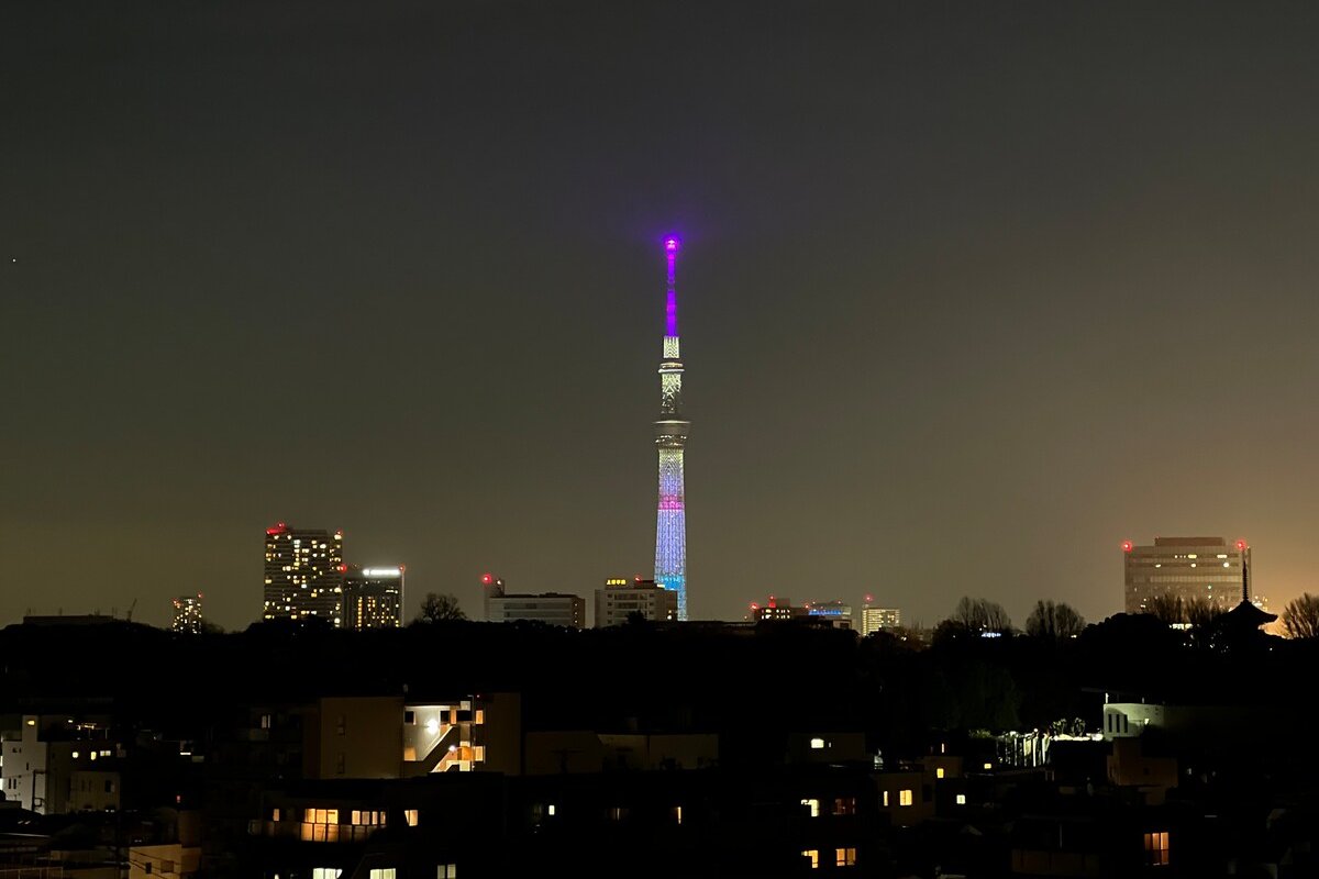 根津デュプレックスアットテラス東京セントラルステイ 2~10人新宿/渋谷/銀座/築地/浅草/原宿近い gallery image 4