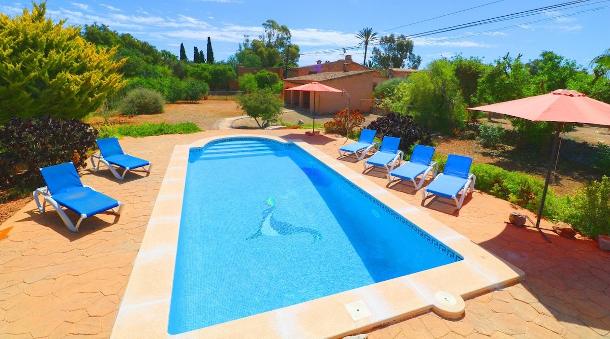 Can Cova gallery image 3