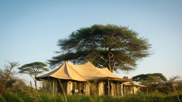 Olmara Camp Tented Suite