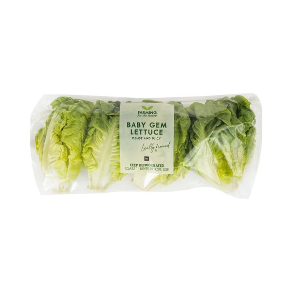 Photo of Baby Gem Lettuce