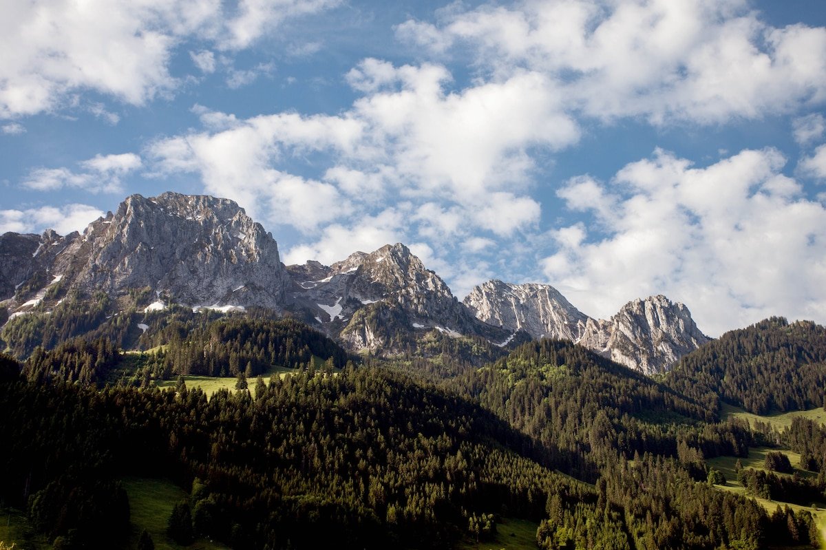 Regent Retreat gallery image 5