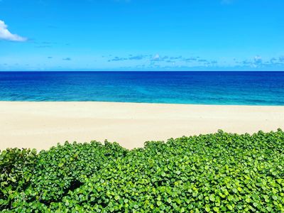 Hale Log Cabins Beachfront Oahu 40% discount