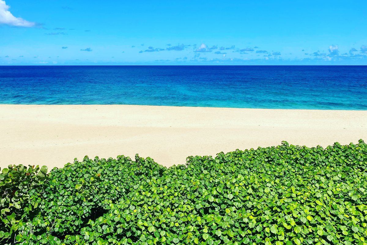 Hale Log Cabins Beachfront Oahu 40% discount