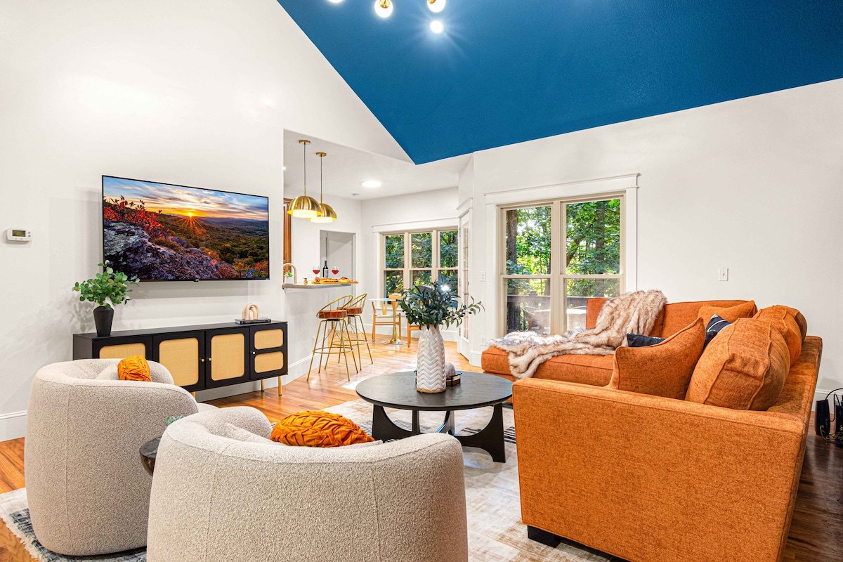 Sleeps 20! | Asheville Oasis | Theater | Sauna gallery image 5