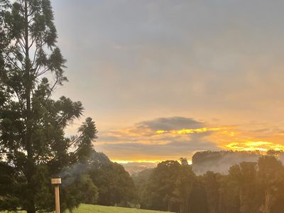 Black Cockatoo Bangalow