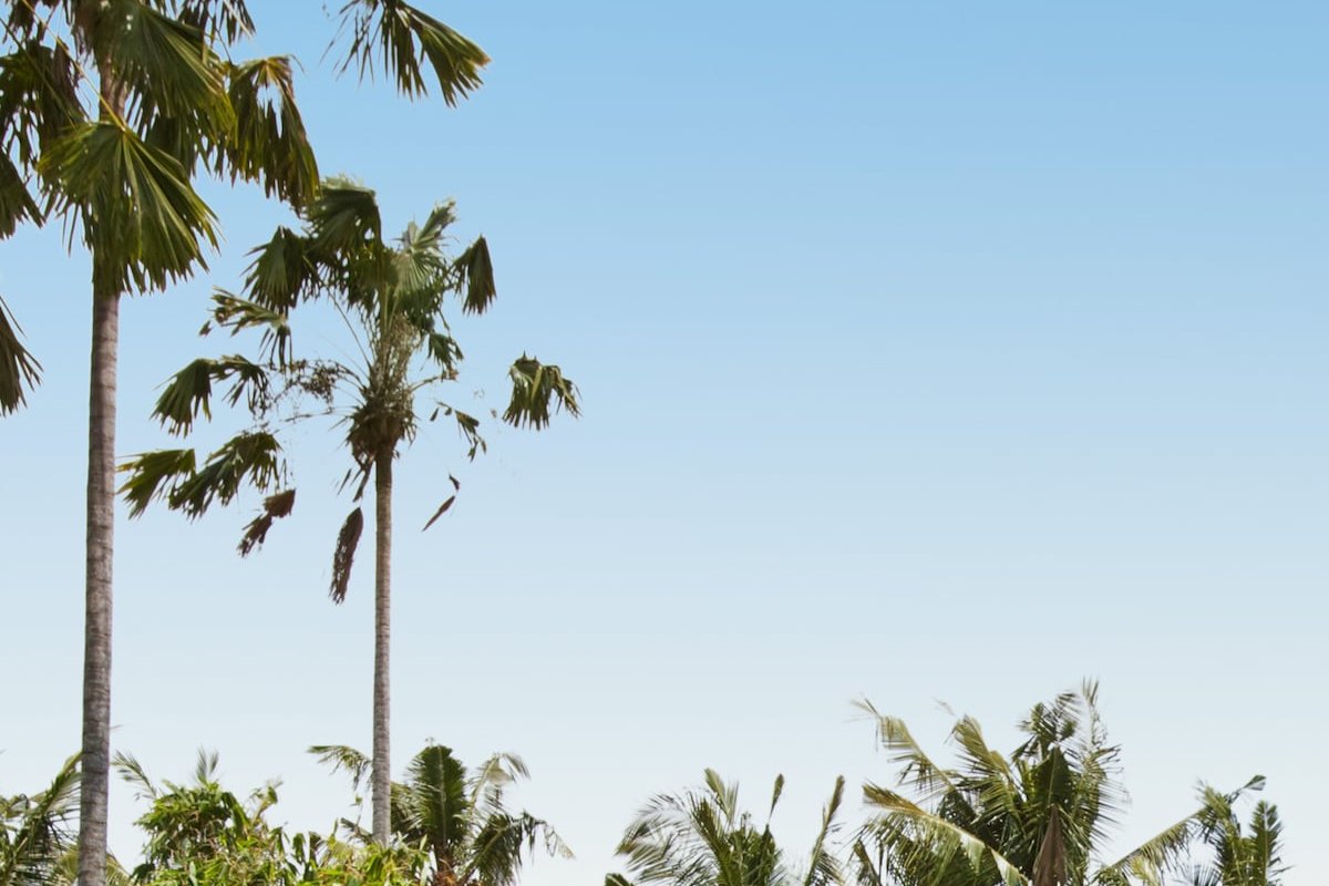 Villa Kalyani gallery image 2