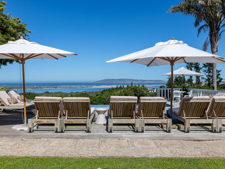 The Plettenberg Goose featured image