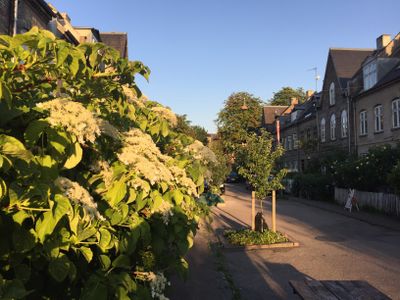 Town house in best area, 200sqm, private garden