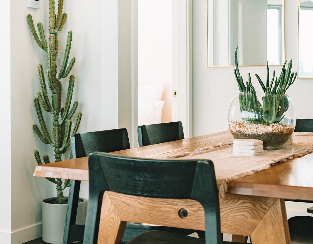 Arbutus Flat | A Cozy, Aesthetically-Driven Stay gallery image 3